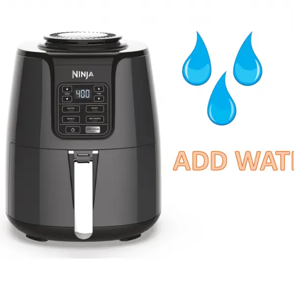 Do You Add Water to a Ninja Air Fryer? [IMPORTANT…READ THIS!]