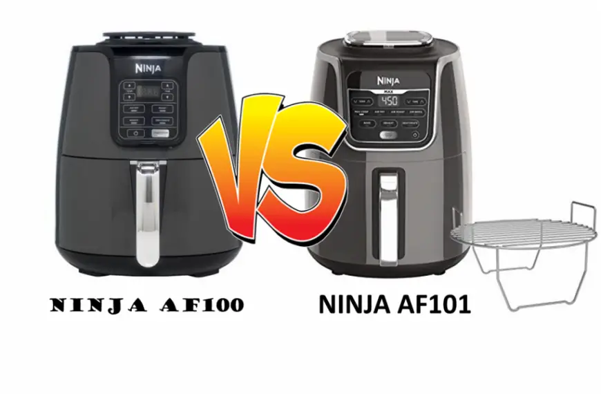 Ninja AF100 vs AF101 [A QUICK COMPARISION]