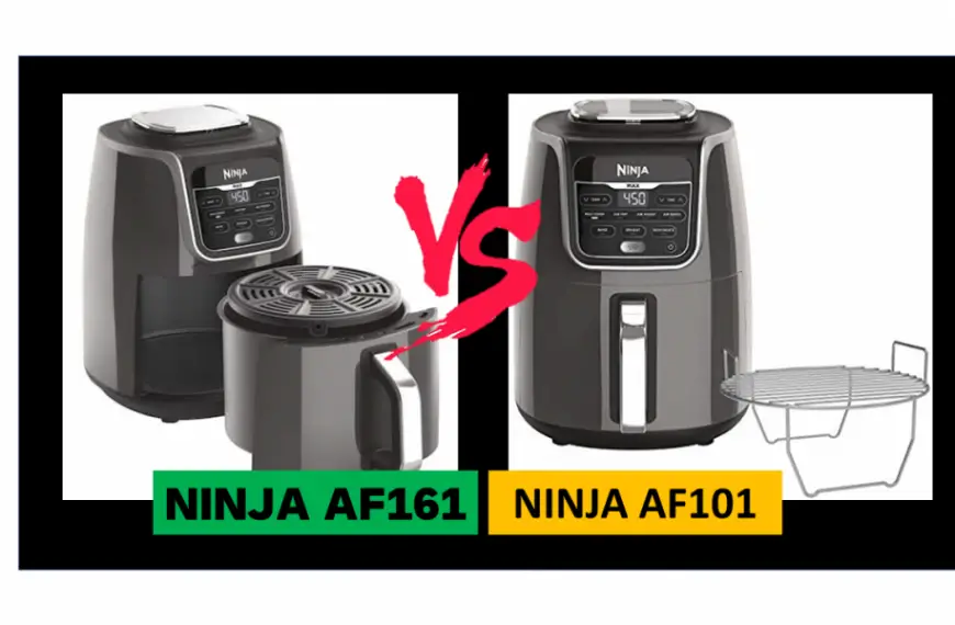Ninja AF101 vs AF161 [A QUICK SUMMARY]