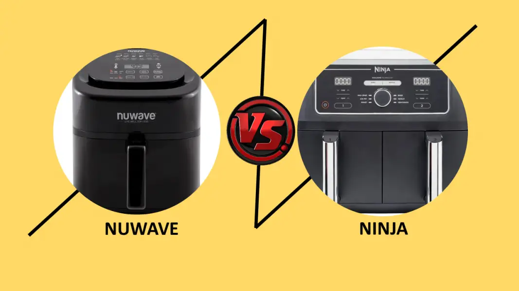 Ninja AF101 vs AF161 [A QUICK SUMMARY] - How Machines Work